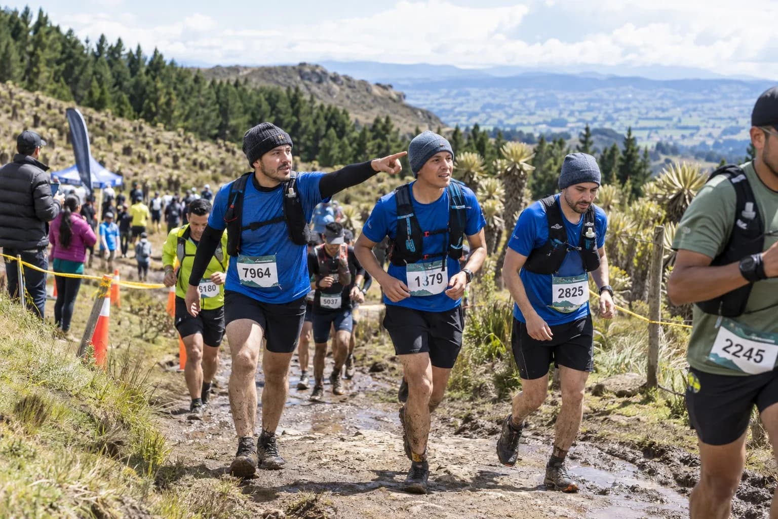 Imagen ilustrativa de Guerrero Trail